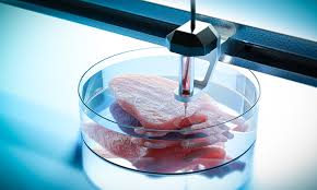 Przyszłość Inżynierii Biomedycznej: Co Nas Czeka?