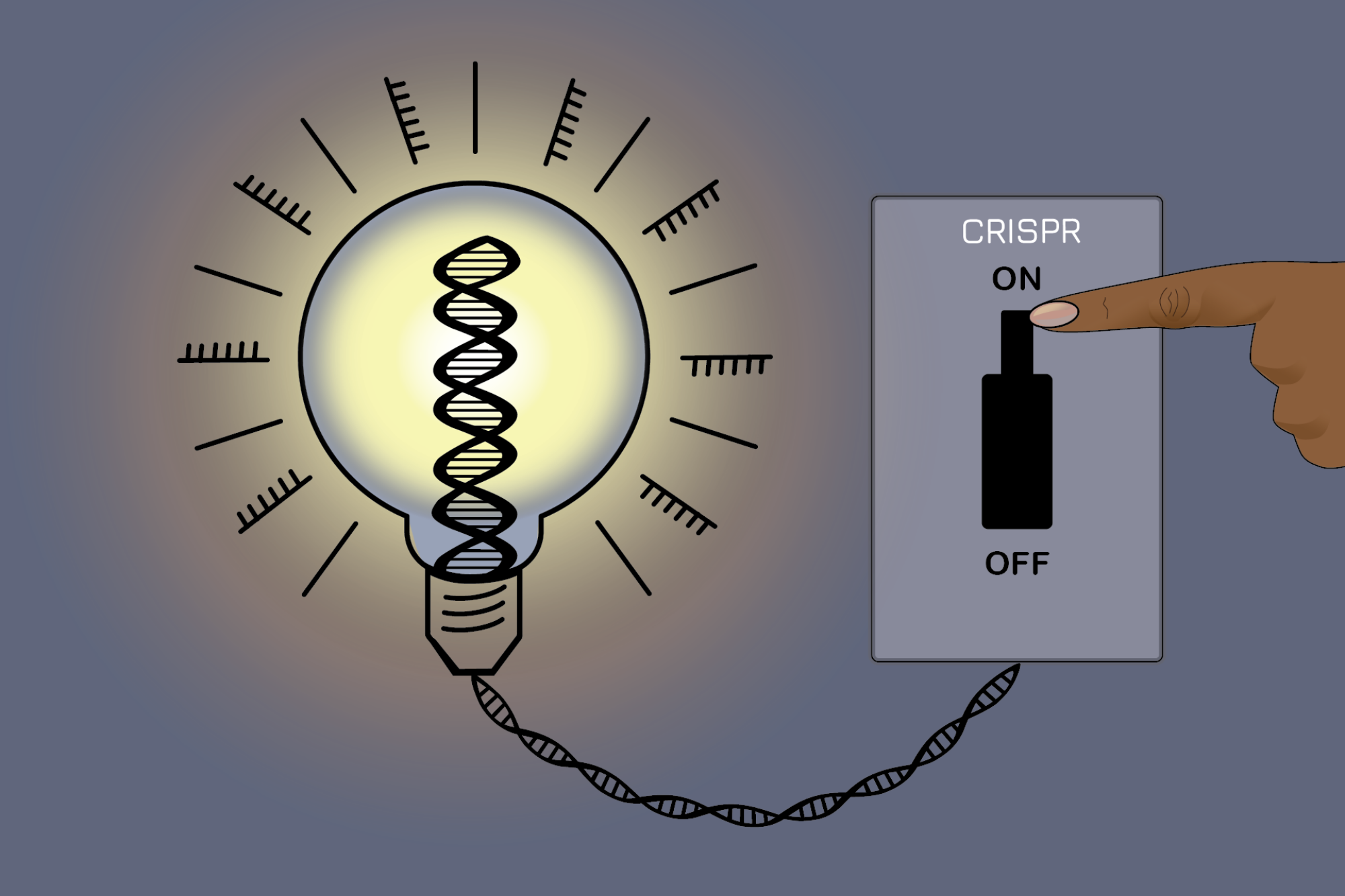 mechanizm działania edycji genowej crispr