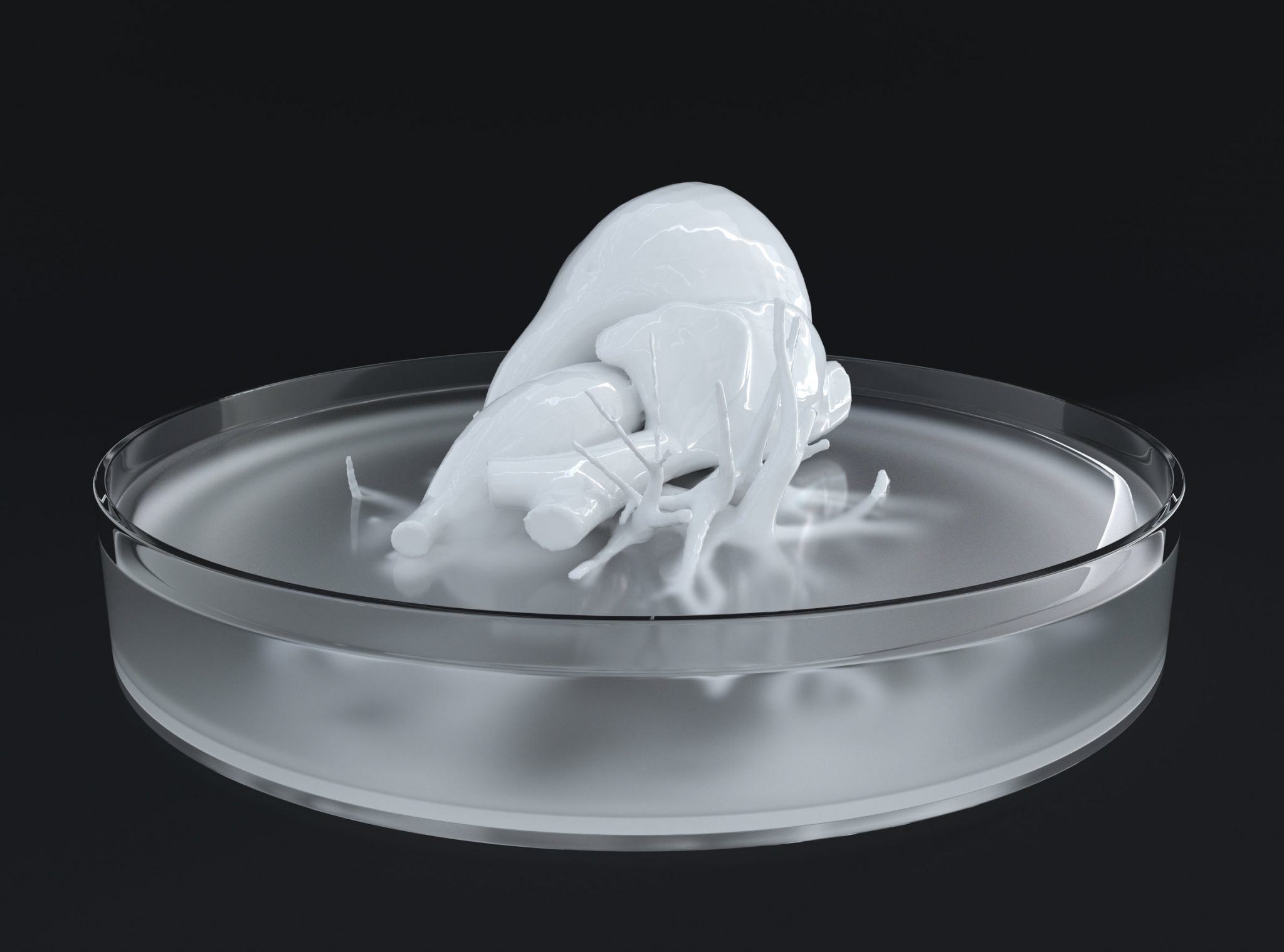 model serca wykonany na drukarce 3D