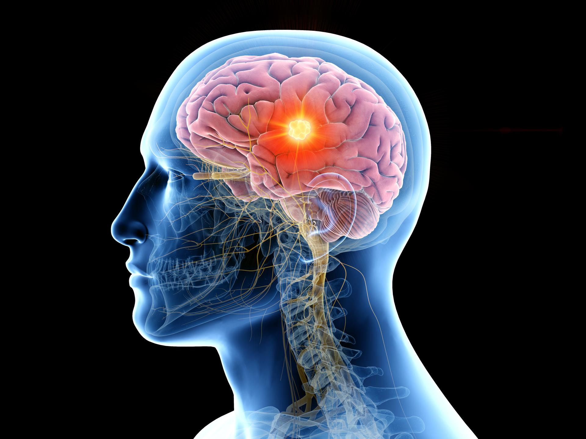schemat ludzkiego układu nerwowego, w którym serotonina przenosi sygnały między neuronami