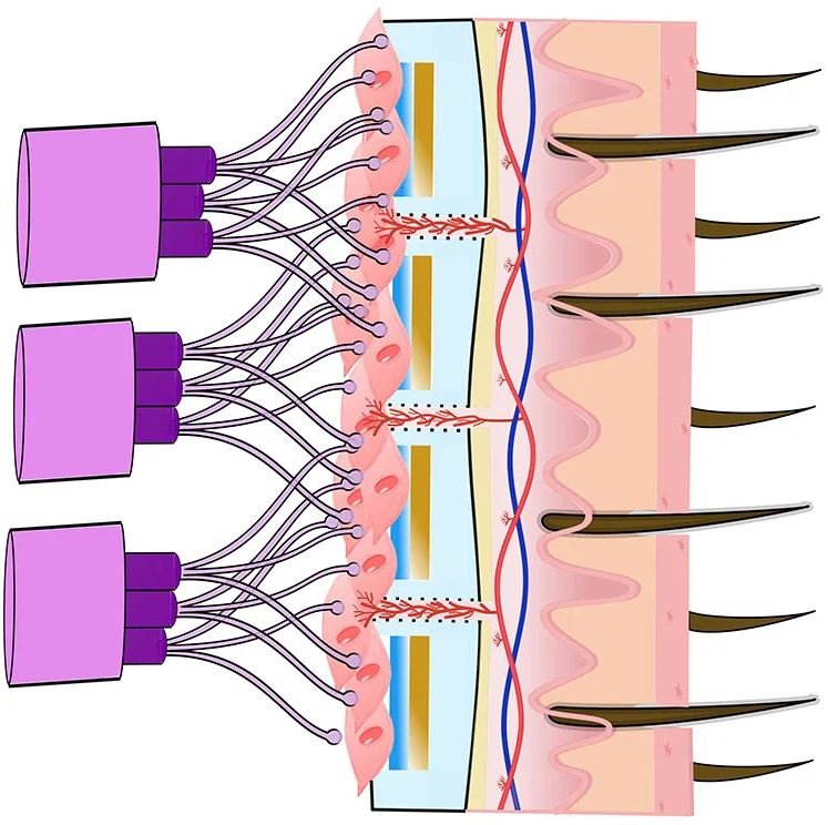 Bioniczne nerwy: Nowe technologie wspierające regenerację uszkodzonych połączeń nerwowych
