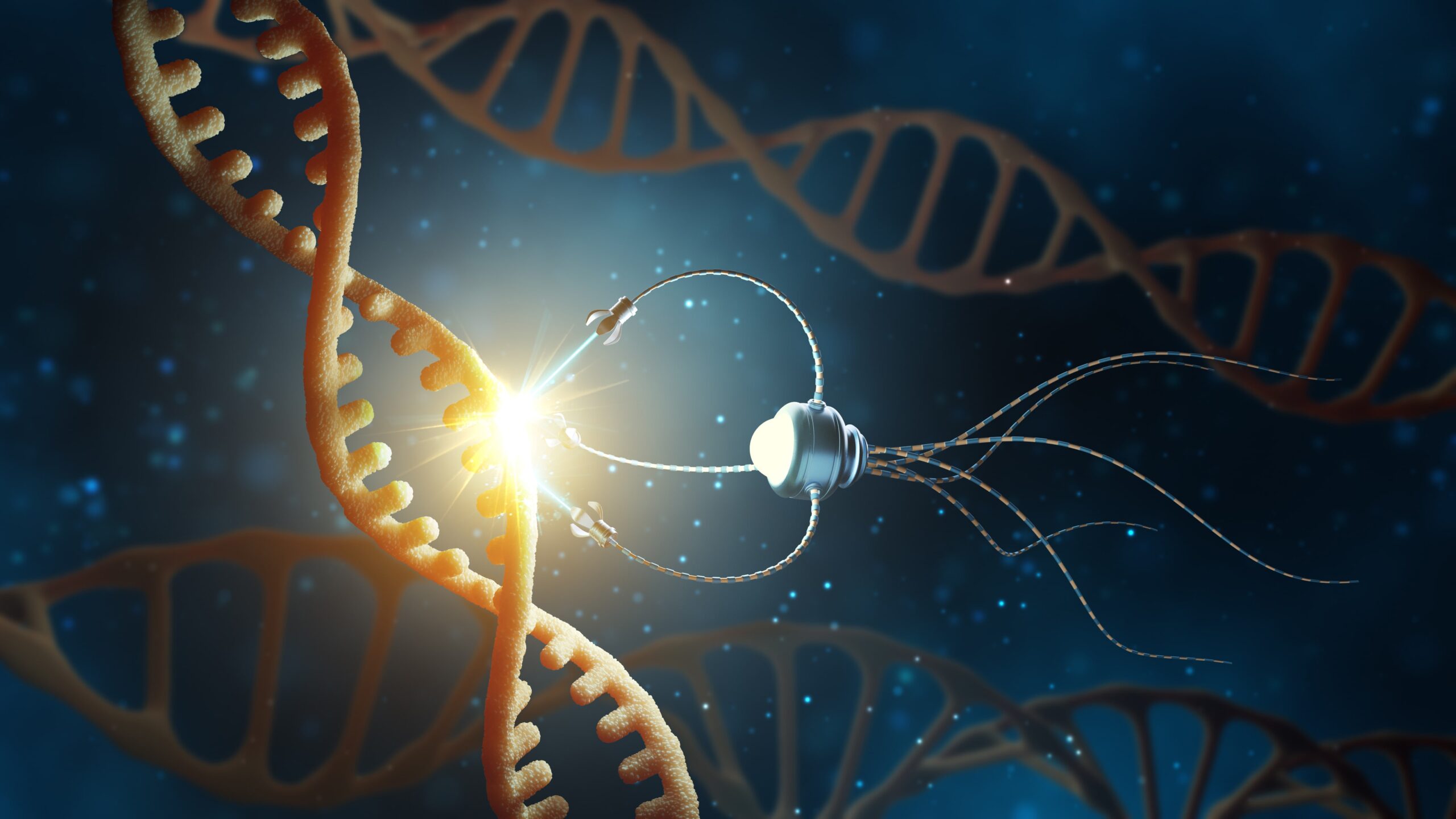 nanotechnologia i mikroroboty w krwiobiegu