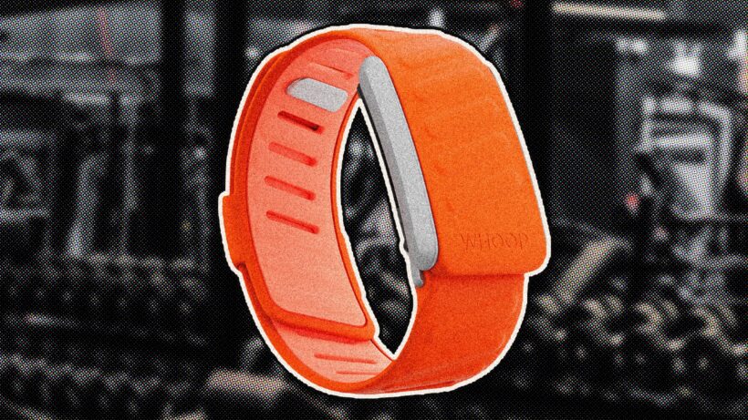 opaska whoop jako najlepszy wearable na siłownię i trening siłowy